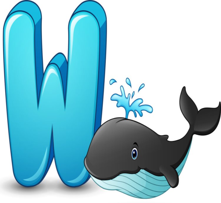 Letter w is for whale cartoon alphabet Royalty Free Vector